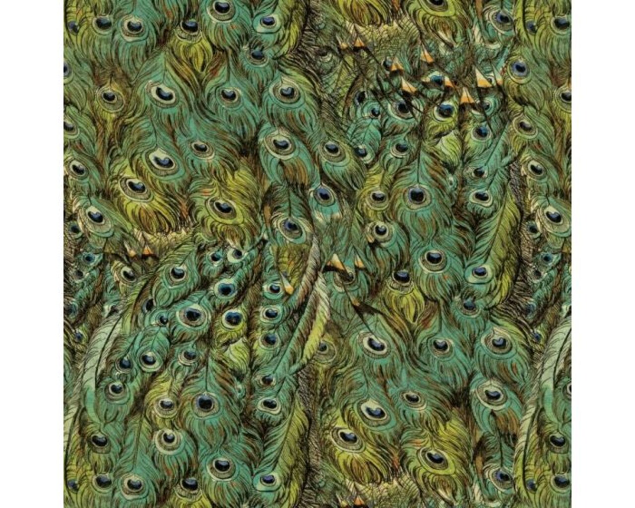Peacock Feathers Cotton Fabric | By the Yard | Sewing and Crafting | 44 inches wide